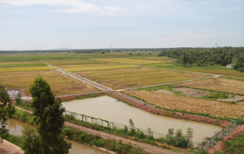 实验田风采