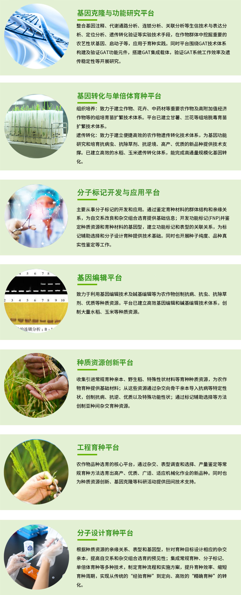 研发平台要修改图片 已改好副本.jpg